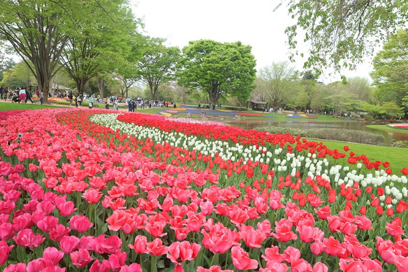 Công viên Showa Kinen